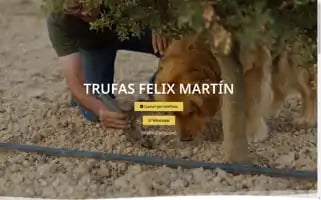 Trufasfm.com Screenshot 2024-05-19 08:09:56