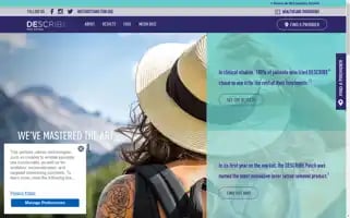 Describepatch.com Screenshot 2024-06-30 03:45:04