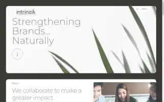 Intrinzikcreative.com Screenshot 2024-07-07 03:11:02