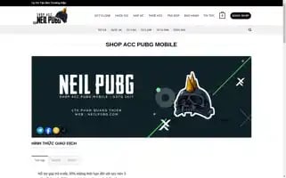 Neilpubg.com Screenshot 2024-05-25 16:49:51