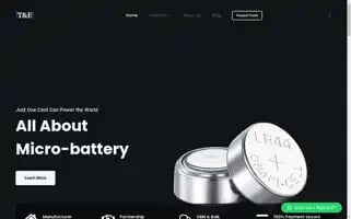 Tnebattery.com Screenshot 2024-05-22 21:21:17