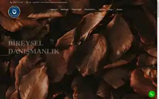 Psikologserpilgunyuz.com Screenshot 2024-05-27 05:41:57