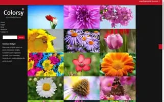 Naloucase.top Screenshot 2024-06-15 03:19:56