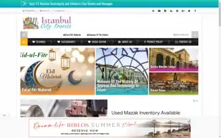 Istanbulcitytravels.com Screenshot 2024-04-25 21:19:14