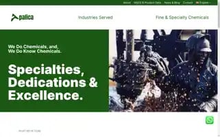 Palicachem.com Screenshot 2024-05-22 22:47:26