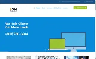 Organicwebsitemarketing.com Screenshot 2024-06-17 23:24:01