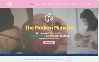 Themodernmidwife.com Screenshot 2024-06-12 05:00:35