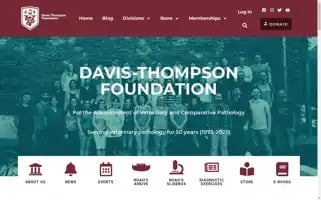 Davisthompsonfoundation.org Screenshot 2024-06-29 00:54:44