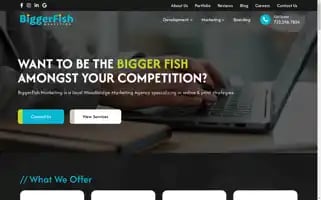 Biggerfishmarketing.com Screenshot 2024-07-01 21:51:52
