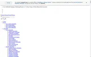 Lurepod.com Screenshot 2024-05-29 11:07:16