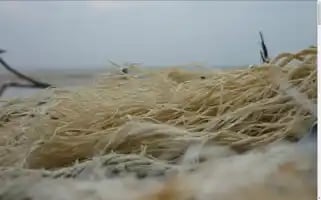 Tailor-made-webdesign.de Screenshot 2024-06-30 01:03:45