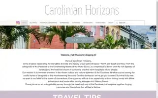 Wholesometrips.com Screenshot 2024-04-15 16:34:23
