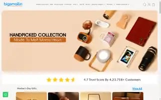 Bigsmall.in Screenshot 2024-05-04 03:14:27