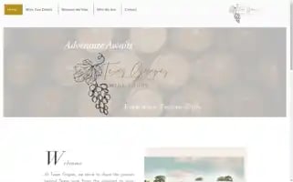 Texasgrapeswinetours.com Screenshot 2024-04-16 14:44:01