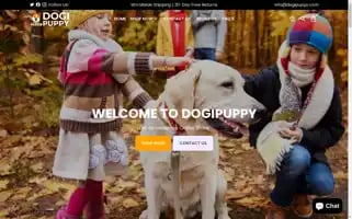 Dogipuppy.com Screenshot 2024-05-02 04:51:34