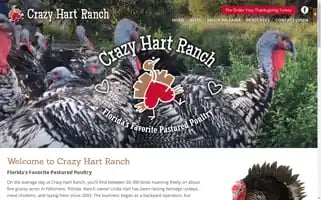 Crazyhartranch.com Screenshot 2024-07-06 23:19:36