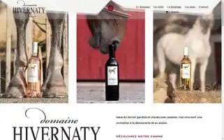 Vins-hivernaty.fr Screenshot 2024-07-08 15:30:56