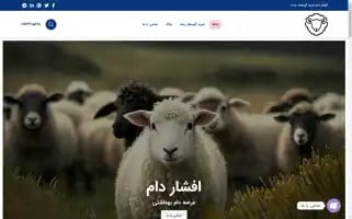Afshardam.com Screenshot 2024-05-29 13:44:25