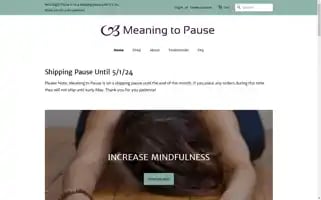 Meaningtopause.com Screenshot 2024-05-05 04:35:55
