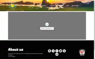 Lemondivestours.com Screenshot 2024-04-17 14:05:58