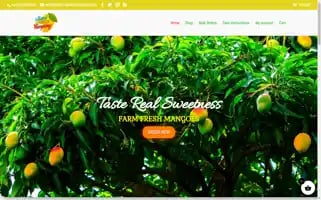 Sweetmangocompany.com Screenshot 2024-05-25 03:13:40
