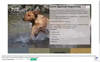 Djr.dk Screenshot 2024-07-02 06:21:17