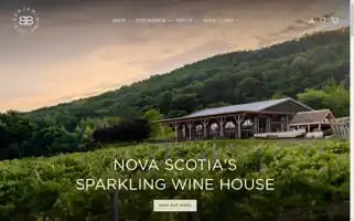 Benjaminbridge.com Screenshot 2024-05-05 00:08:59