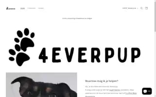 4everpup.com Screenshot 2024-05-02 06:44:49