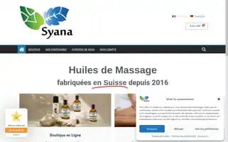 Syana.ch Screenshot 2024-06-17 06:00:38