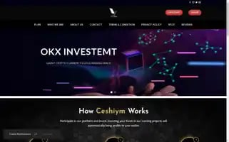 Okxinvestment.com Screenshot 2024-05-24 05:45:49
