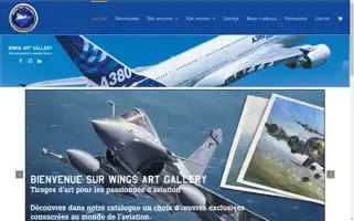 Wingsartgallery.com Screenshot 2024-05-18 20:43:24