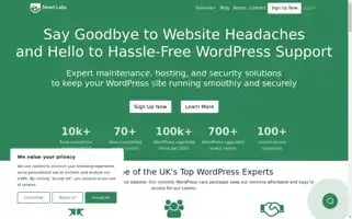 Newtlabs.co.uk Screenshot 2024-07-01 23:48:59