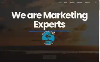 Palmettopalmmarketing.com Screenshot 2024-06-12 23:22:38