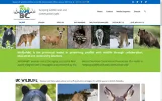 Wildsafebc.com Screenshot 2024-05-15 03:15:42