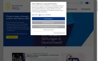 Stiftungen.org Screenshot 2024-06-30 01:35:58