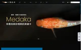 Moolinaqua.com Screenshot 2024-05-26 05:59:17