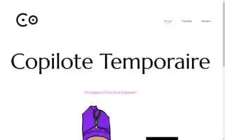 Moncopilotetemporaire.com Screenshot 2024-05-28 12:53:14