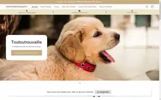 Toutoutrouvaille.com Screenshot 2024-05-02 06:51:10