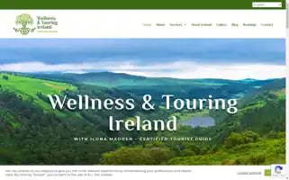 Wellnesstourguide.ie Screenshot 2024-04-26 22:02:19