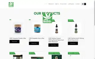 Getbudd.com Screenshot 2024-06-29 06:15:30
