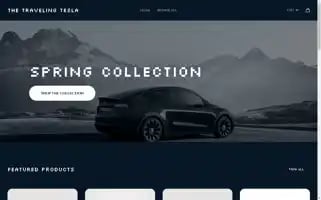 Thetravelingtesla.com Screenshot 2024-04-15 06:14:18