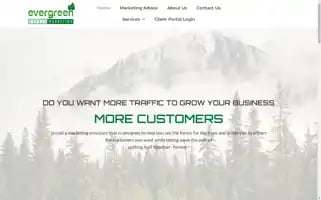 Evergreengrowthmarketing.com Screenshot 2024-07-02 03:42:25