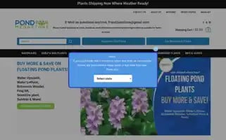 Pondmegastore.com Screenshot 2024-05-05 18:39:47