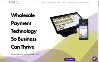 Thinkauric.com Screenshot 2024-05-14 11:52:58