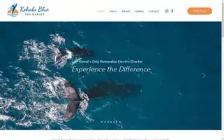 Kohalablue.net Screenshot 2024-07-06 03:22:44