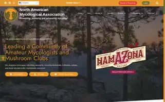 Namyco.org Screenshot 2024-06-26 12:41:19