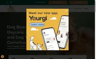 Campwaggingtails.com Screenshot 2024-07-06 22:55:00