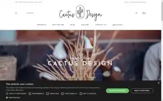 Cactusdesign.it Screenshot 2024-05-08 22:59:41