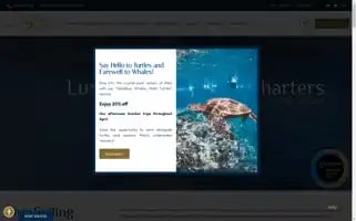 Aliinuimaui.com Screenshot 2024-05-08 11:37:00