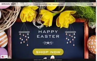 Topervan.com Screenshot 2024-04-25 17:26:24